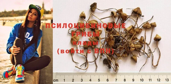 мет Шарыпово