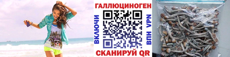 Псилоцибиновые грибы прущие грибы  shop как зайти  Онега  наркота  MEGA ONION 